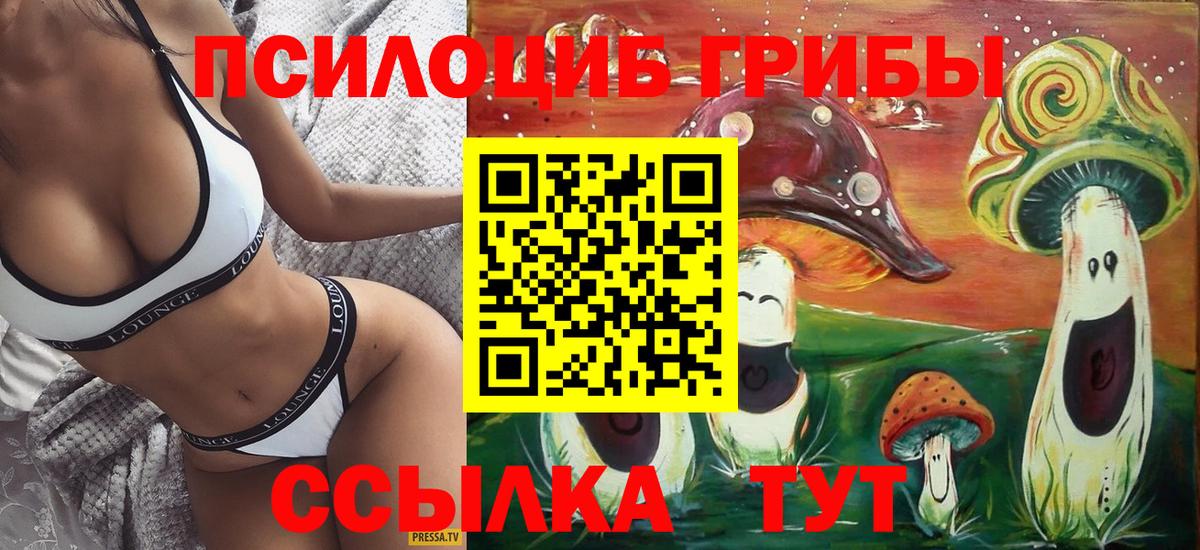 Осинники  Галлюциногенные грибы Psilocybe  Вход с VPN 